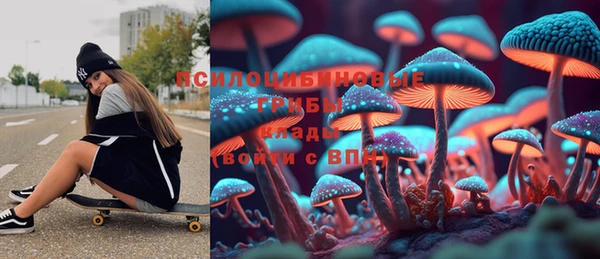 дмт Аркадак