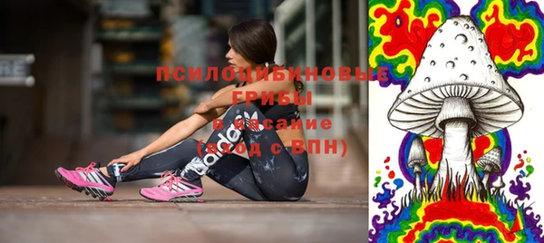 тгк Армянск
