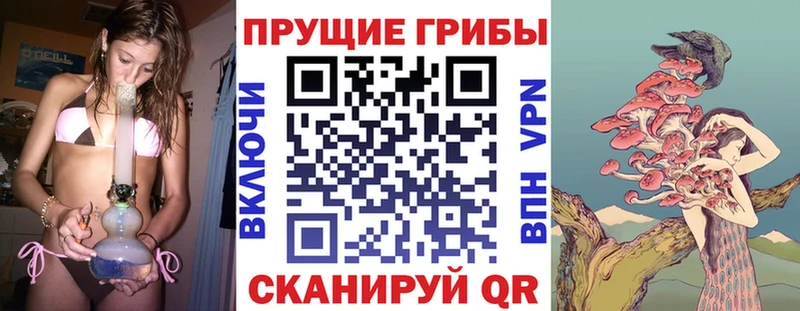 Псилоцибиновые грибы ЛСД  где продают наркотики  Верхняя Пышма 