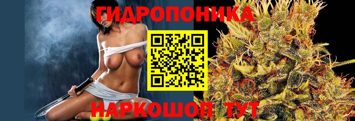 Шишки марихуана марихуана Верхняя Пышма